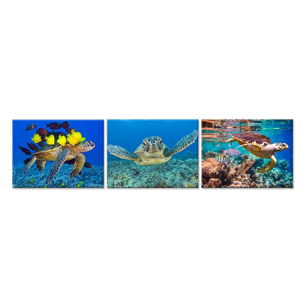 Hello Artwork 3 Pieces Canvas Wall Art Blue Sea Turtle Swimming Ocean Living Series Animal Pictures Print On Canvas for Bathroom Living Room Decor Stretched and Framed Ready to Hang (12x16inchx3pcs)