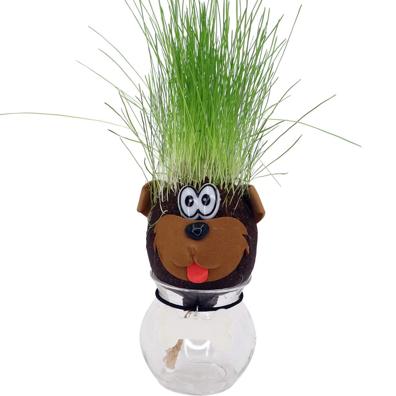 AvoSeedo Grass Head - Funny Fast Growing Grass Head Learning Toy for Kids (Dog)