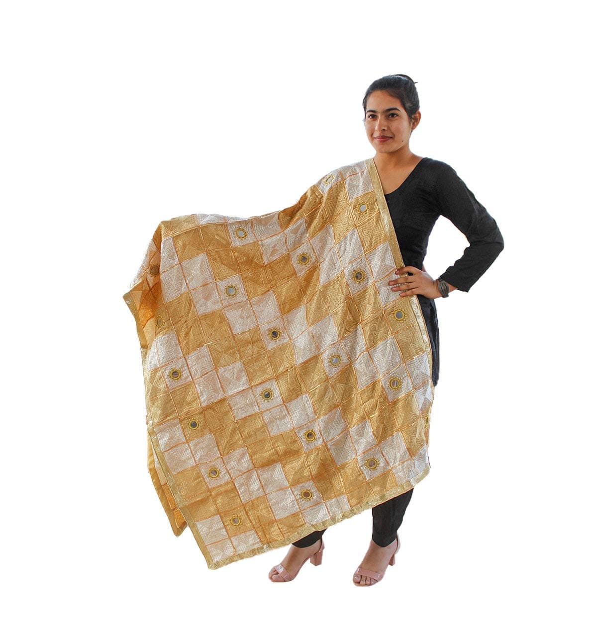 Sahej SuitsBeige Phulkari Bagh with Gotta & Mirror Work