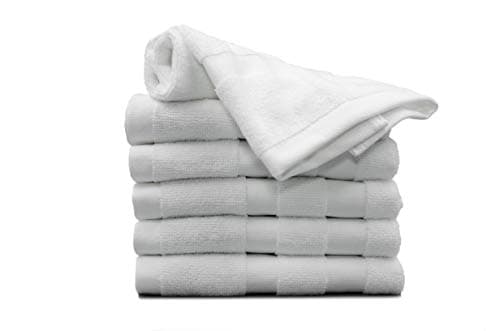 Laguna Blue Antibacterial Microfiber Washcloth (6-Pack) White 13" X 13" - Quick Dry Makeup Remover Facial Cloth, Saves Water, and Energy Efficient – Ideal for Home, Travel, Sports, and Fitness