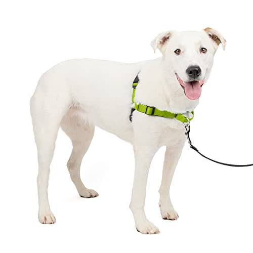PetSafe Easy Walk Deluxe Dog Harness, No Pull Dog Harness – Perfect for Leash & Harness Training – Stops Pets from Pulling and Choking on Walks – Medium/Large, Apple Green