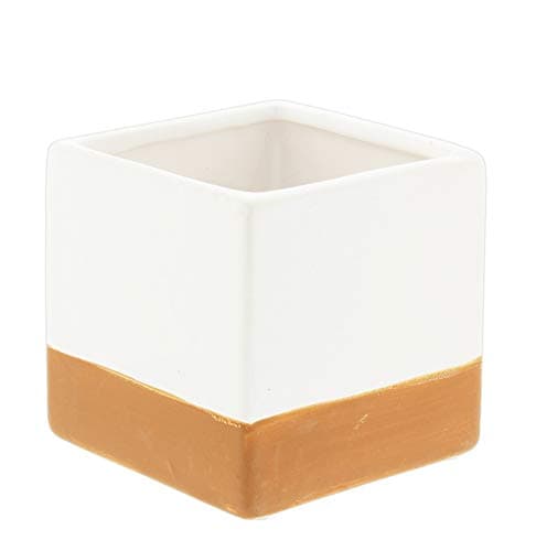 Lucky Winner White Ceramic Cube Planter with Terra Cotta Stripe, 3.5"