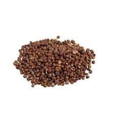 Grains of Paradise Seed 1oz (HGRAPS) -