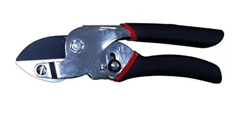 Agrihypermart AHM 122 8-inch Anvil Pruning Shear (Black and Red)