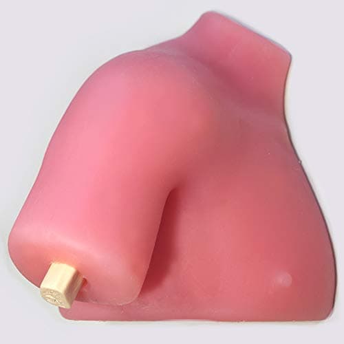 VIEUR Arthroscopy Simulator Orthopedics Knee Model Arthroscopy Model Silicone Soft