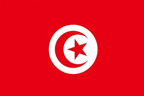 TUNISIA FLAG FRIDGE MAGNET REFRIGERATOR MAGNET