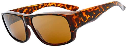 The Fresh High Definition Polarized Wrap Around Shield Sunglasses for Glasses - Leather Eyeglasses Case