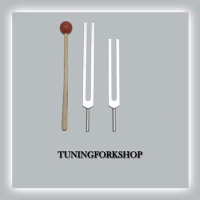 C & G Whole Body Tuning Fork Set with Mallet+Pouch