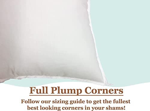 Pillowflex Polyester Filled Machine Washable 55cm x 55cm 22 X 22 - Inch Pillow Form Insert