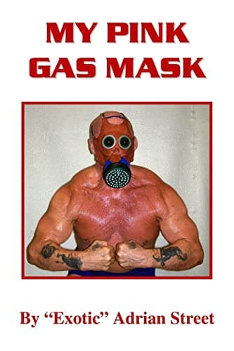 My Pink Gas Mask Paperback – May 9, 2012