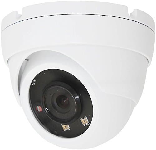 HDView Facial Recognition 4MP Megapixel IP Network Camera H.265 ONVIF PoE, Super Matrix EXIR, 3.6mm Lens 3-Axis, Eyeball Dome