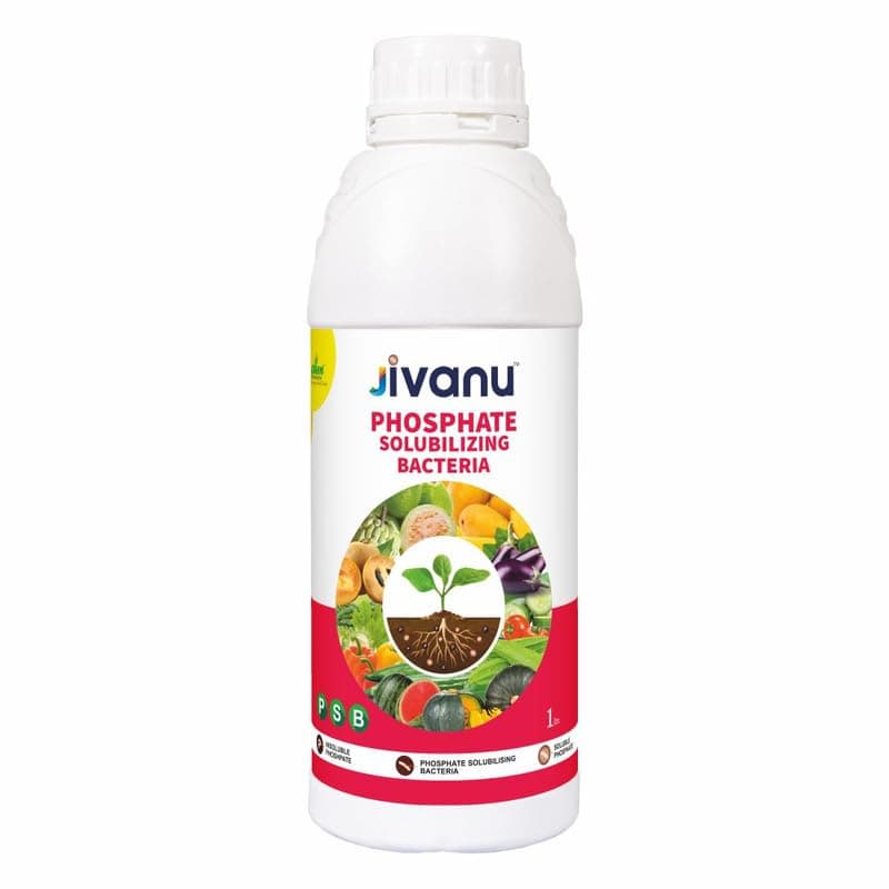 Jivanu PSB (Phosphate Solubilizing Bacteria – PSB) Liquid (1L) Bio Fertilizers For Agriculture, Garden, Soil Fertility, and Plant Nutrition.