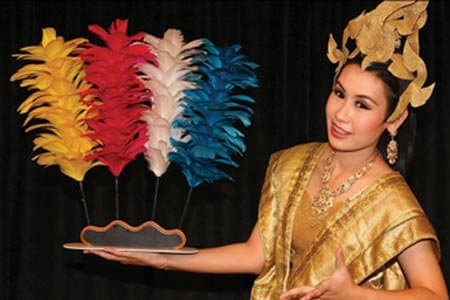 Color Changing Feathers Deluxe