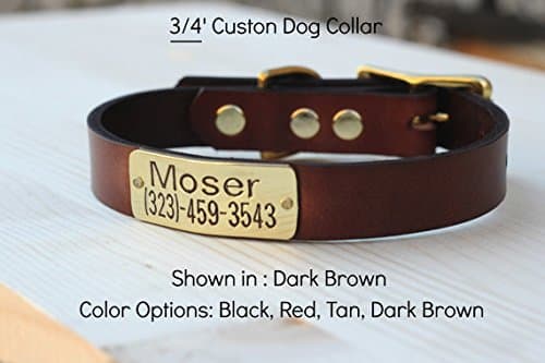 Magnus Leather 3/4" Leather Collar with ID Tag (Dark Brown, Medium 11"-14")