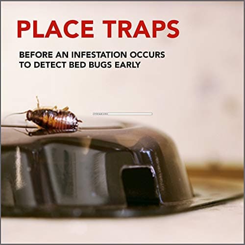 Raid Raid Bed Bug Detector and Trap, 4 Ct