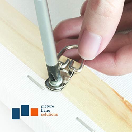 PHS D Rings for Picture Hanging - 1000 Pack Small D Ring Picture Hangers with Screws - 10 lbs Metal D-Ring - Easy to Install Frame Hanging Hardware - Pro Quality Hangers - Silver