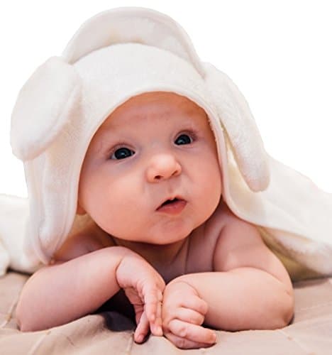 Headphone Converter Accessories Support