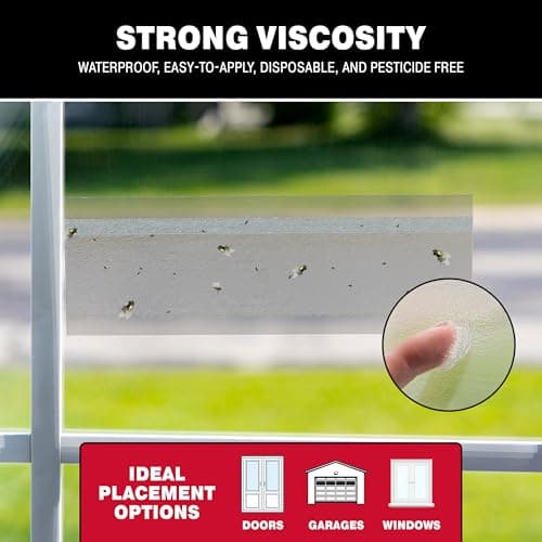 Bug & Fly Clear Window Traps - 3 Packs of 4 Traps