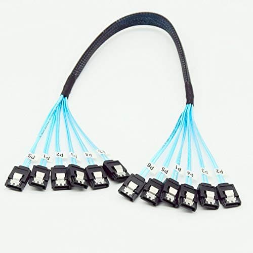 YIWENTEC High Speed 6Gbps Sata 3 iii Cable Sas Cable for Server (6 SATA, 0.5M) ¡