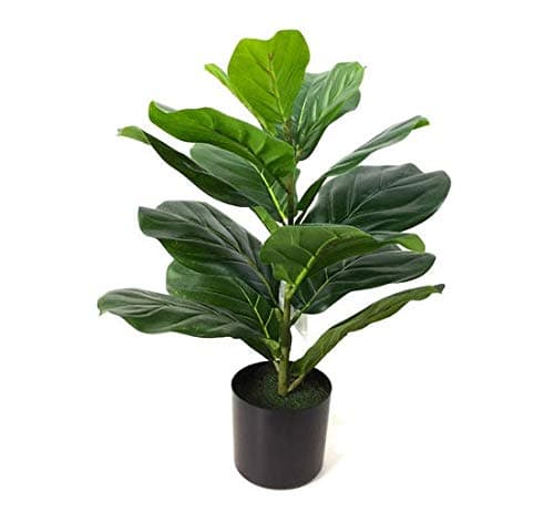 BEGONDIS Artificial Mini Fiddle Leaf Fig Tree, Potted Artificial Tree for Home Decor, 20" Fiddle Leaf Fig Tree