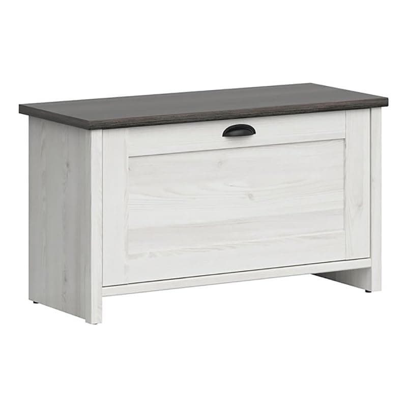 Lifestyle SolutionsHarley Shoe Cabinet, White