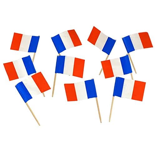 DelightBox French Flag Toothpicks (100)