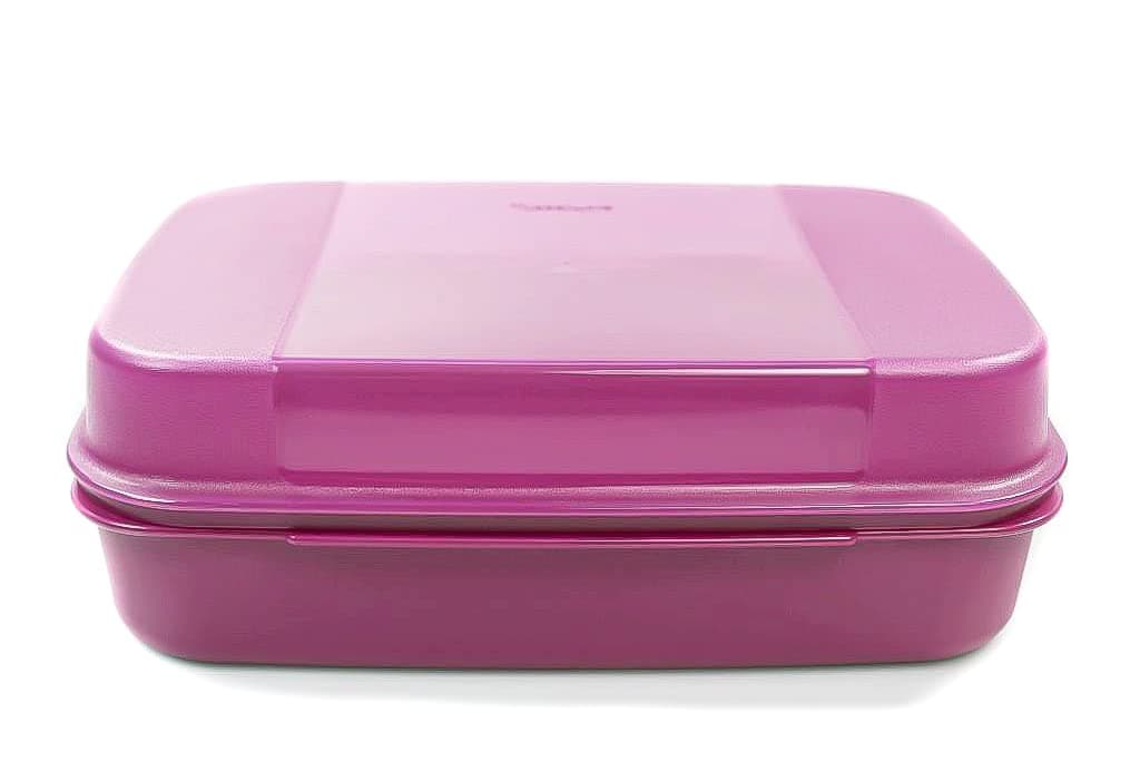 Tupperware Broken kitten 2.5 l blackberry Bellevue Storage in stock Apollo