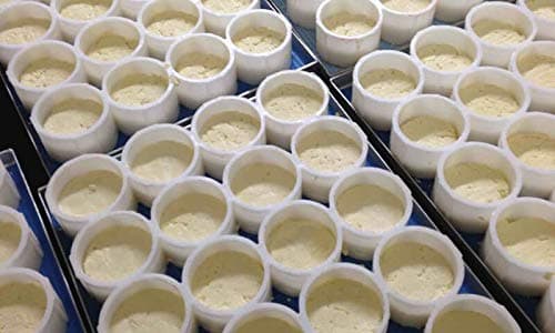 Rennet Tablets/Fromase 50/5 Tablets + 1 Free Total 6 Tablets Made in France