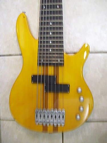 8 string Bass Guitar, neck through body, New