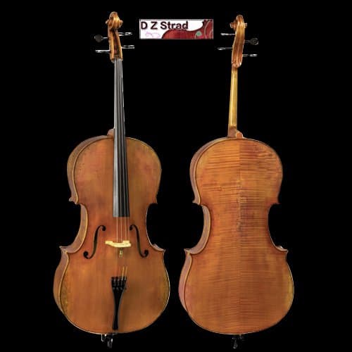 D Z Strad Model 900 handmade 4/4 Cello (4/4 - Size)