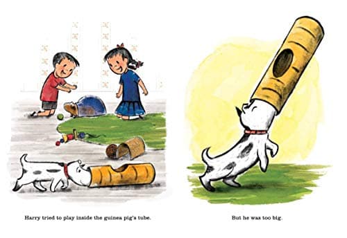 Harry and the Guinea Pig