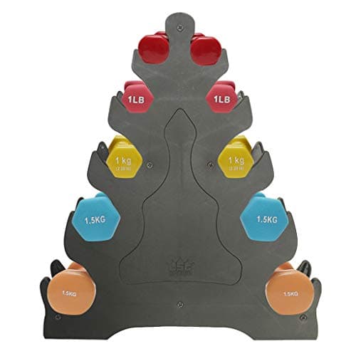 5 Tier Dumbbell Rack,Weight Lifting Dumbbell Tree Rack Stands,Compact Dumbbell Bracket Free Weight Stand for Home Gym Organization Holds 30 lbs (C)