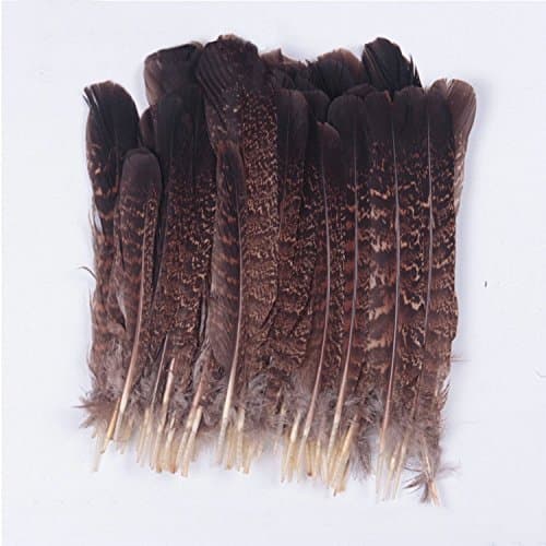 Pack of 12 pcs Eagle Feather, Touch of Nature Eagle Feathers 6-8 inches SOP56