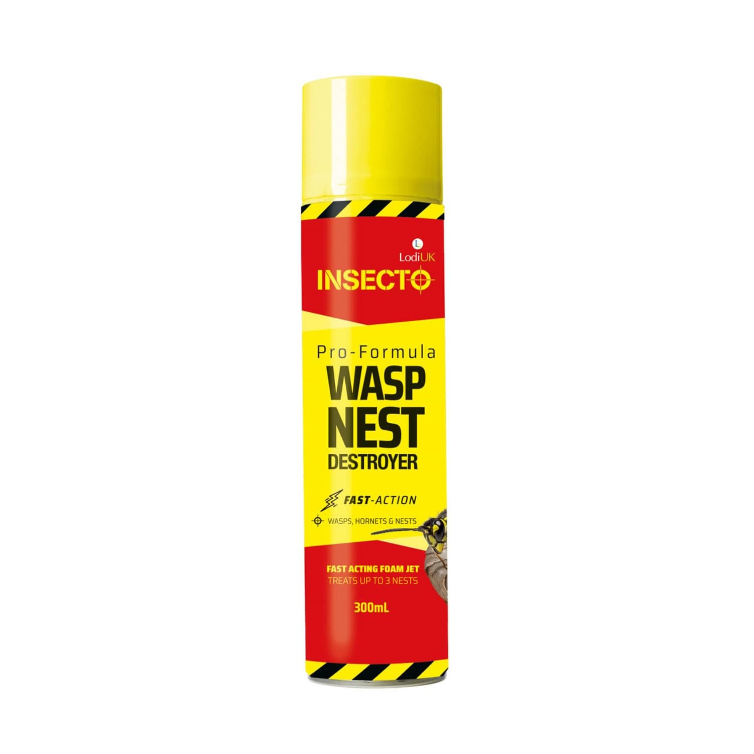 Pro Formula Wasp Nest Killer 300ml