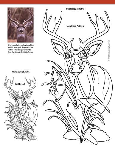 Relief Carving Projects & Techniques: Expert Advice and 37 All-Time Favorite ...