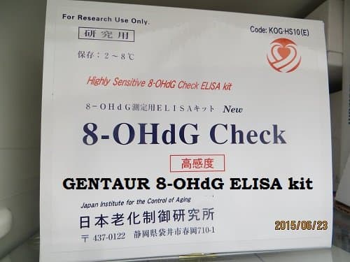 Highly Sensitive 8-OHdG Check ELISA kit - 96 wells (18 samples in triple assays)