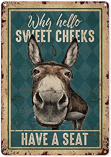 CTH8735 Hello Sweet Cheeks Bathroom Decor Funny Donkey Why Hello Sweet Cheeks Have A Seat Bathroom Metal Wall Art 8 X 6 Inch, Multi