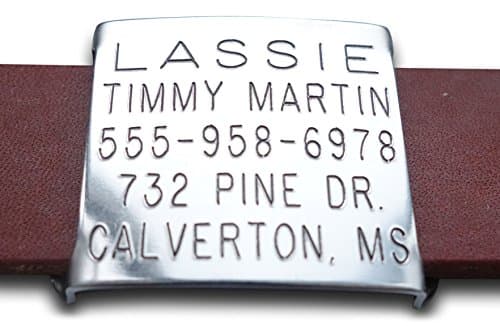Leashboss Thick Slide On Pet ID Tag for 3/4 Inch Wide Leather and Double Thick Nylon Collars, Medium, Custom Engraved and Personalized Tag for Thick and Padded Dog Cat Belt Style Collars