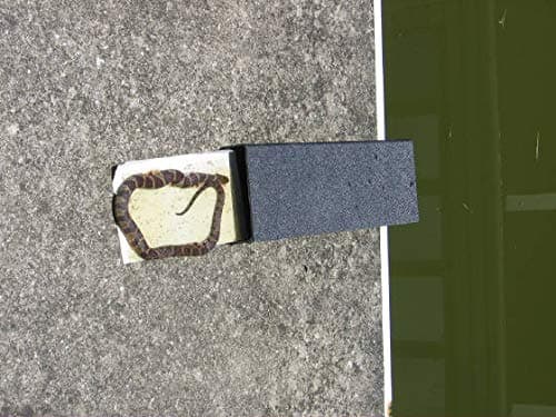 (.1 Pk) Snake Trap Small with 4 Catch Inserts / Reusable, Made in USA