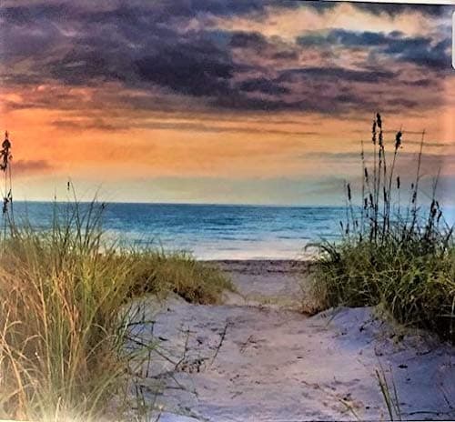 Aqua Seas at The Dunes Panel Cotton Fabric David Textiles AL 3848 Size 36 X 44 Inches