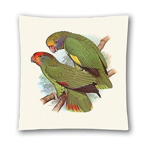 RYHJRT Two parrots in the branches Cotton Decorative Throw Pillow Case Cushion Cover 18 "X18 " Two Side