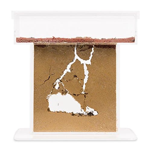 Sand Ant Farm T (Anthill, Formicarium, Educational, Ants)