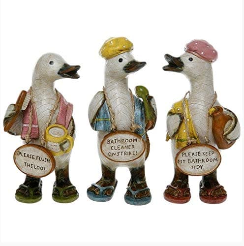 Complete Set of Davids Bathroom Message Ducks - Small - Set of 3