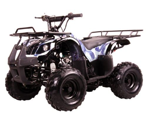 TAO TAO Model # 125D ATV 110cc Fully Auto with Reverse - New SPIDER BLACK color