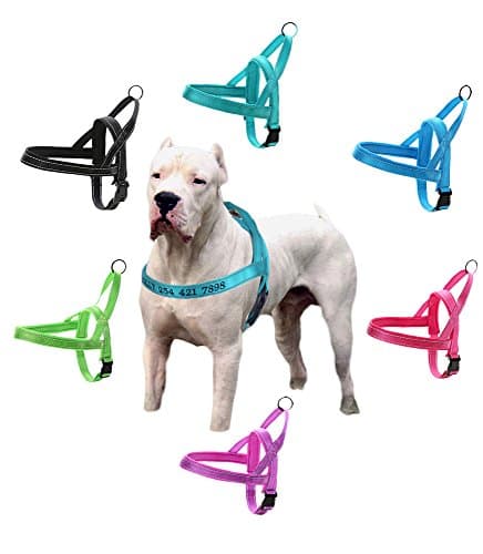 Custom Personalized Premium Dog Harness with Embroidered Names - Quick Fit Adjustable No-Pull Vest with Reflective Stitching - Perfect for Small Medium Large X-Large Dogs Training Walking Running