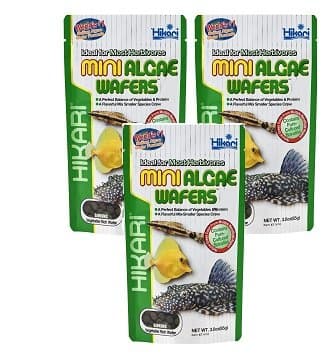 (3 Pack) Hikari USA Inc Mini Algae Wafers 3 -Ounce Each