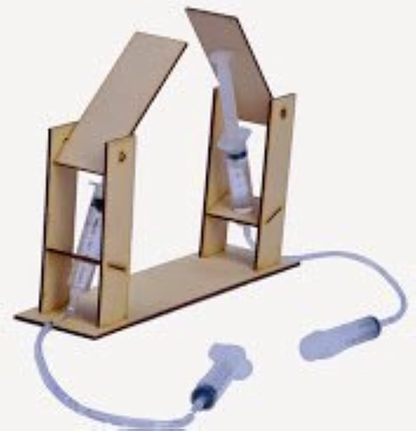 Pascals Law Do It Yourself Science Activity Kit Hydraulic Bridge Projects (Multicolour)