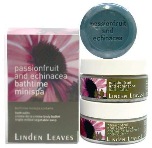 Linden Leaves Bathtime Mini Spa Kit, Passionfruit and Echinacea