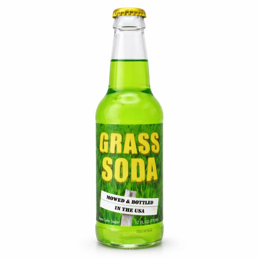 Rocket Fizz Grass Soda Flavor | Cane Sugar | Craft Soda Pop Drinks | 12 oz in Glass Bottle (1 Bottle)