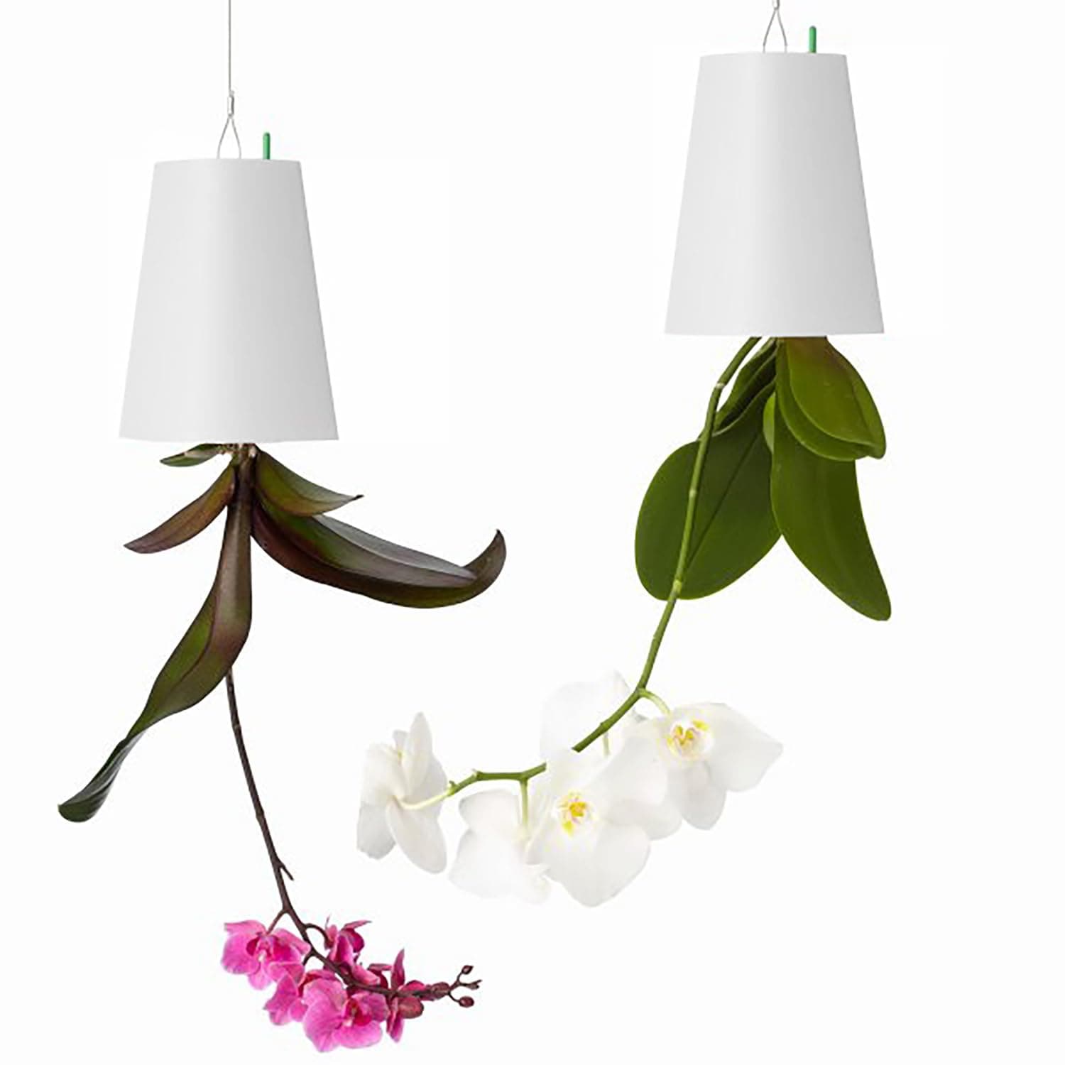 2 PCS Upside-Down Planter
